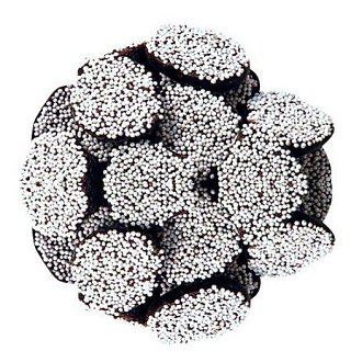 Asher's Dark Chocolate Nonpareils with White Seeds 8 POUND BOX