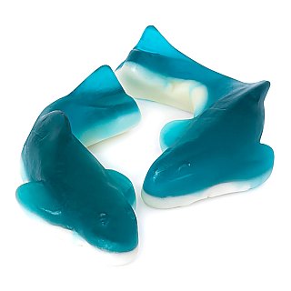 Clever Jumbo Gummy Blue & White Sharks 3 1/2" 6.6 lb