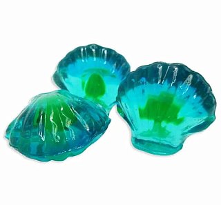 Hilco 4D Gummy Juice Centered Sea Shells 2.2 lb