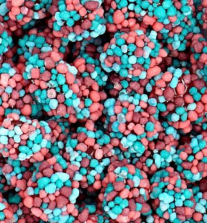 Nerds Very Berry Bulk Gummy Clusters  3lb