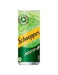 Schweppes Japan Import Melon Sparking Soda 250 ml 6 Pack