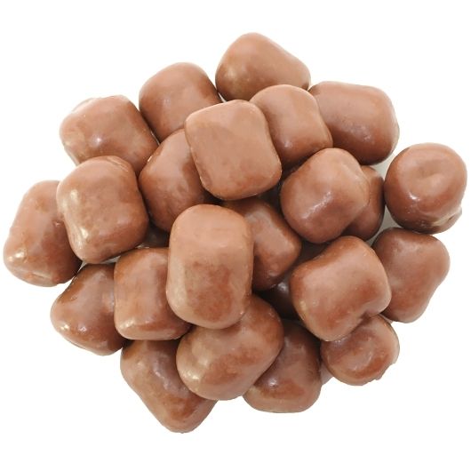 Taste Nature FUDGE BROWNIE Chocolate Cookie Dough Bites 3lb