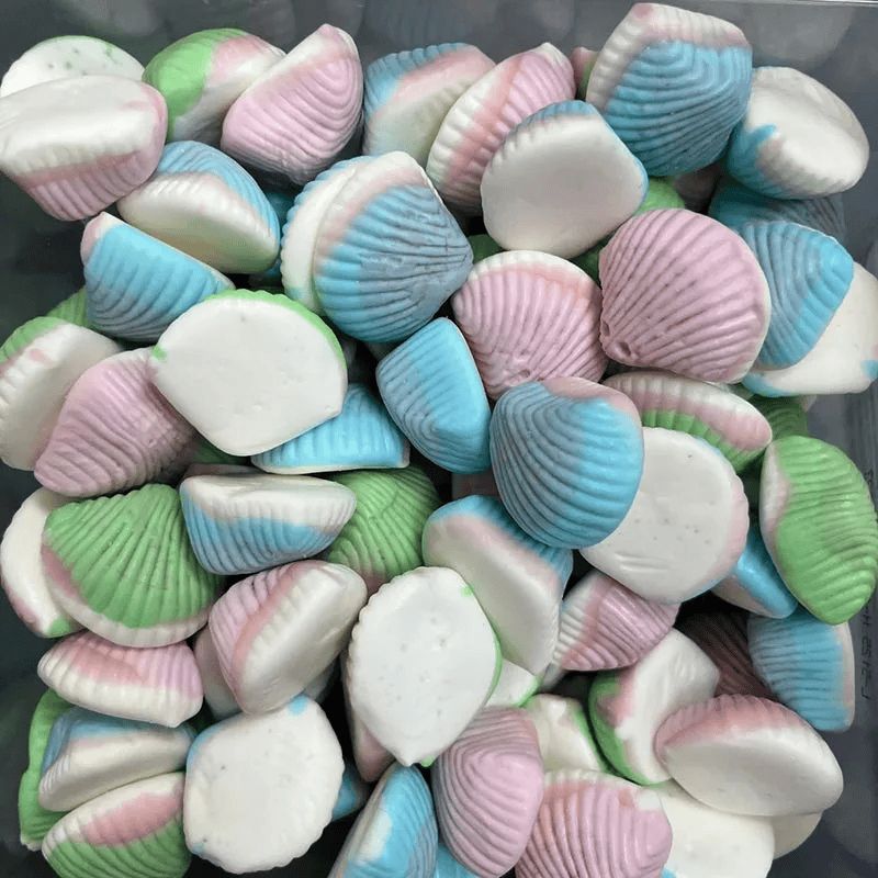 Vidal Import Marshmallow Foam Seashells Shell 2.2 lb