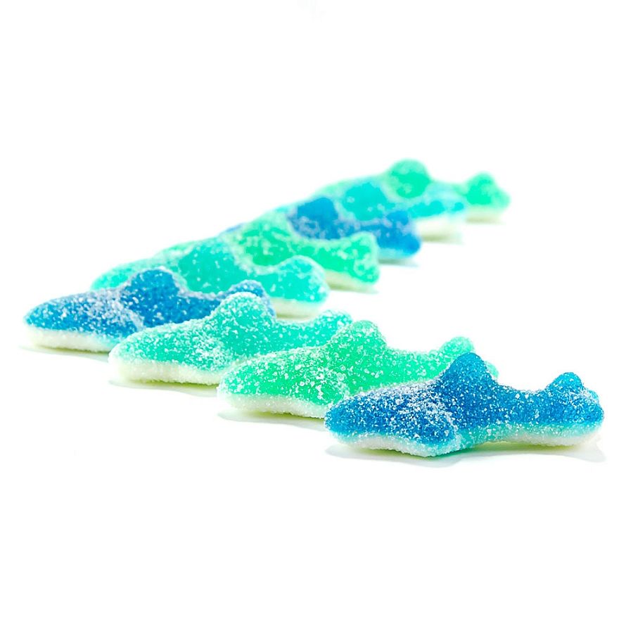 Clever Candy Sour Blue Gummy Sharks 6.6lb