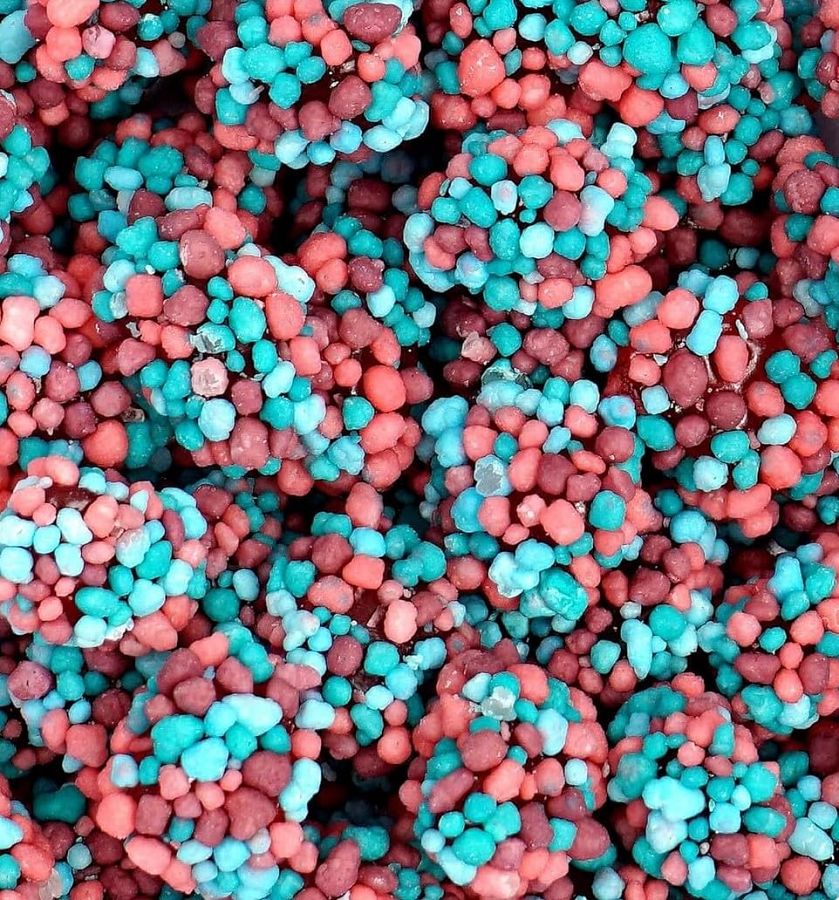 Nerds Very Berry Bulk Gummy Clusters  3lb