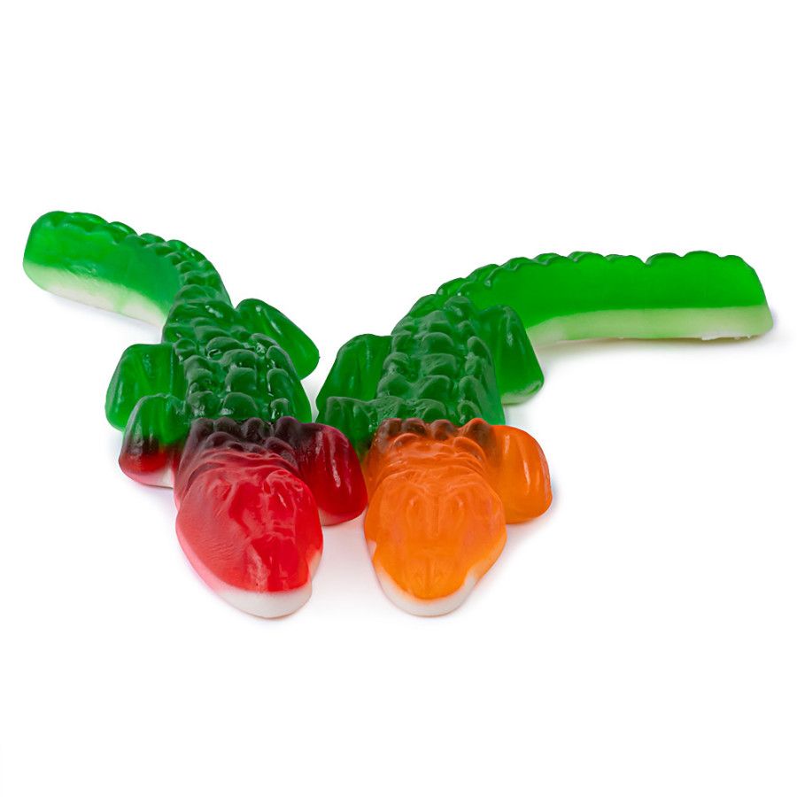 Clever Alligator Gator Reptile Gummy Candy 6.6 lb