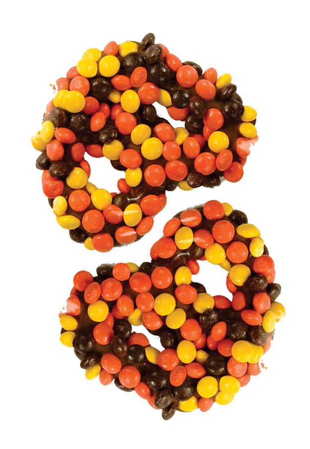 Asher's Milk Chocolate Gourmet Pretzels Reeses Pieces 6 lb