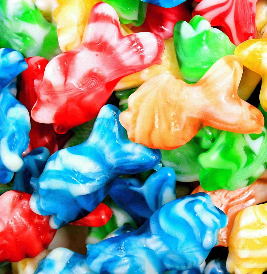 Vidal 4.4 Lb Swirly Fish Gummy Bulk