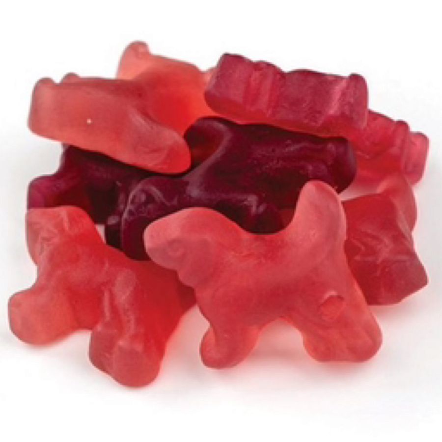 Gustaf Beagles Sweet Fruit Gummies 2.2 Pound Bag